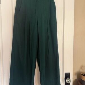 Banana Republic Pleated Wide Leg Trousers in Deep Green